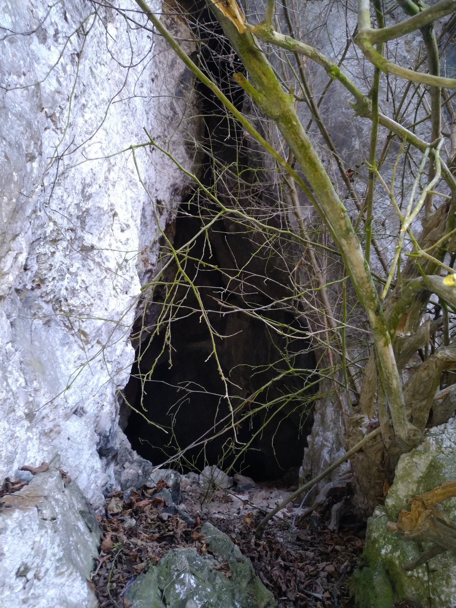 Peștera Surprizei - Image 5